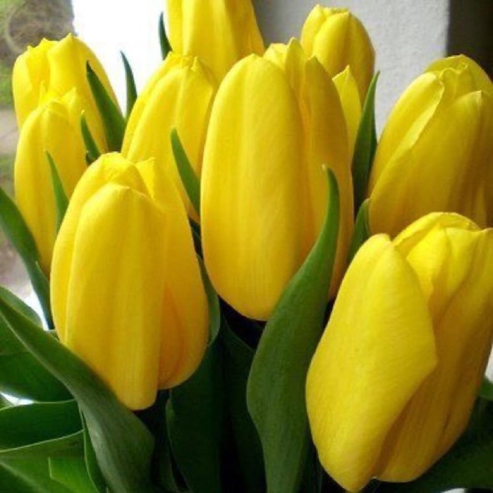 Meet your Posher, Lita